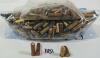 AMMO / BLANKS: QTY OF MIXED .22 LR & SHORT - 2LBS LIVE / 41X BLANKS