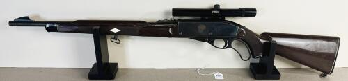 REMINGTON NYLON 76 IN .22 LR