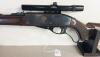 REMINGTON NYLON 76 IN .22 LR - 2