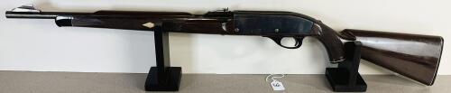 REMINGTON NYLON 66 IN .22 LR