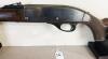 REMINGTON NYLON 66 IN .22 LR - 2