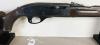 REMINGTON NYLON 66 IN .22 LR - 4