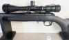 RUGER AMERICAN RIM FIRE IN .22 LR - 2
