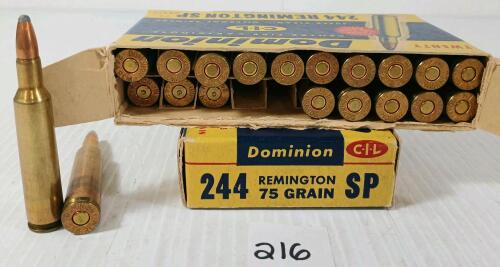 AMMO / BRASS: 37X CIL DOMINION .244 REM - 75GR - SP LIVE / 3X BRASS