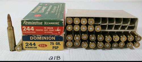 AMMO / BRASS: 31X DOMINION & REMINGTON .244 REM - 75 & 90GR - SP & PSP LIVE / 20X BRASS