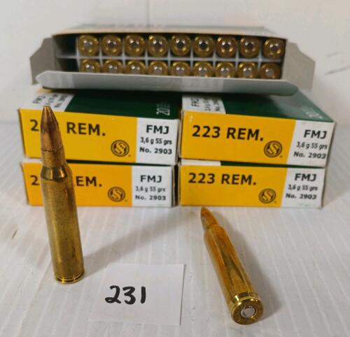 AMMO: 100X SELLIER & BELLOT .223 REM - 55GR - FMJ