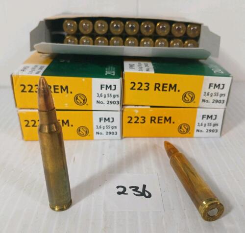 AMMO: 100X SELLIER & BELLOT .223 REM - 55GR - FMJ