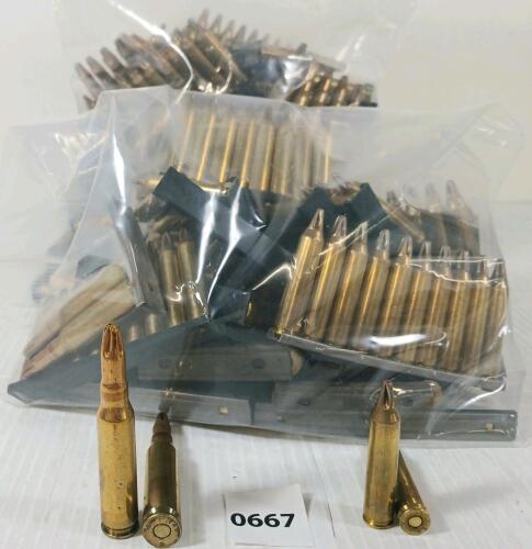 BLANKS: QTY OF MILITARY ISSUE .308 & 5.56 W/ STRIPPER CLIPS - 10LBS