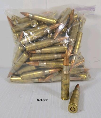 AMMO: 100X CDN MILITARY ISSUE 7.62X51MM