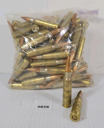 AMMO: 99X CDN MILITARY ISSUE 7.62X51MM