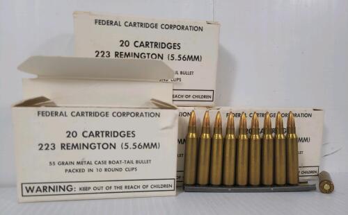 AMMO: 60X FEDERAL .223 REM - 55GR - BT