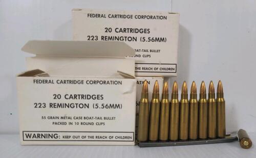 AMMO: 80X FEDERAL .223 REM - 55GR - BT