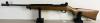 RUGER MODEL 10/22 CARBINE IN .22 LR
